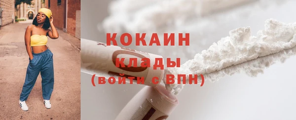 молекула духа Осташков