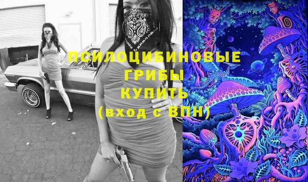 винт Абинск
