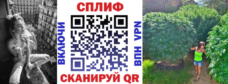 Каннабис LSD WEED  МЕГА ссылки  Щучье  наркота 